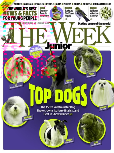 The Week Junior February 13, 2026 Issue Cover