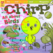 chirp May 01, 2019 Issue Cover