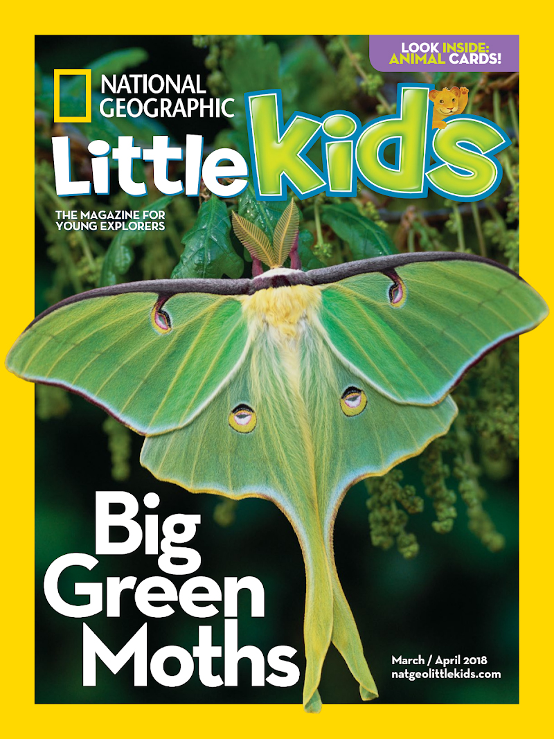 national-geographic-little-kids March 01, 2018 Issue Cover