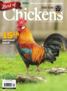 Chickens February 01, 2025 Issue Cover