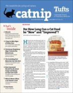 Catnip June 01, 2024 Issue Cover