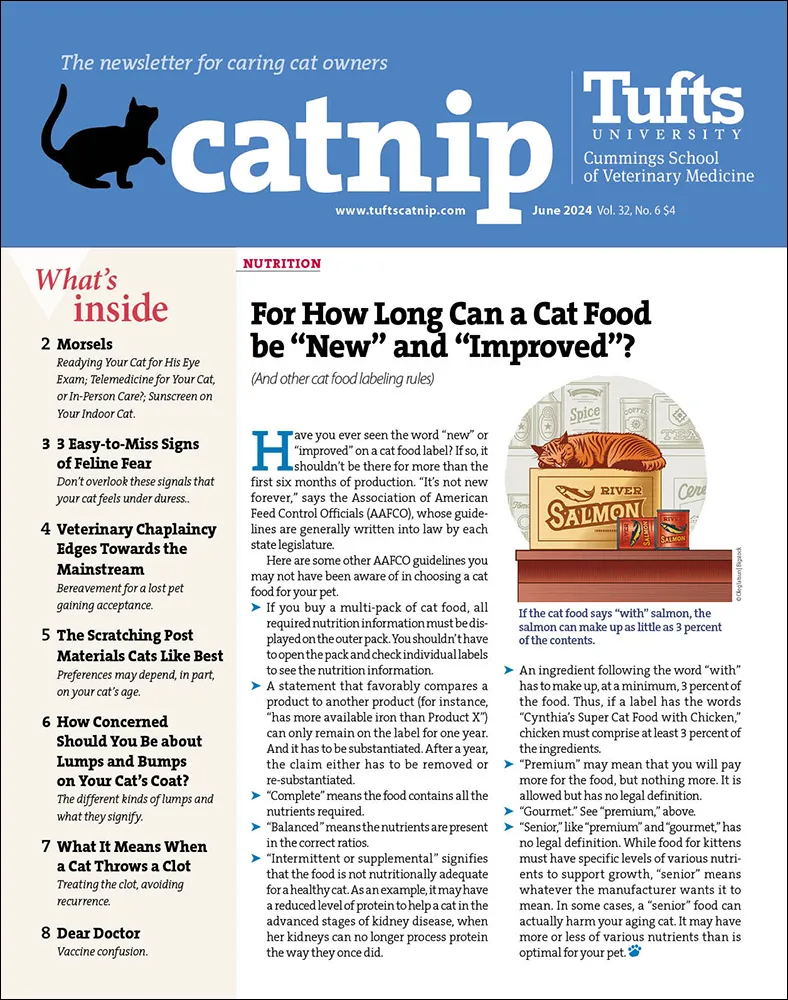 Catnip June 01, 2024 Issue Cover