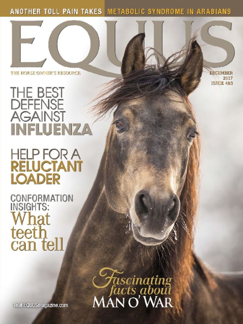 Equus December 01, 2017 Issue Cover