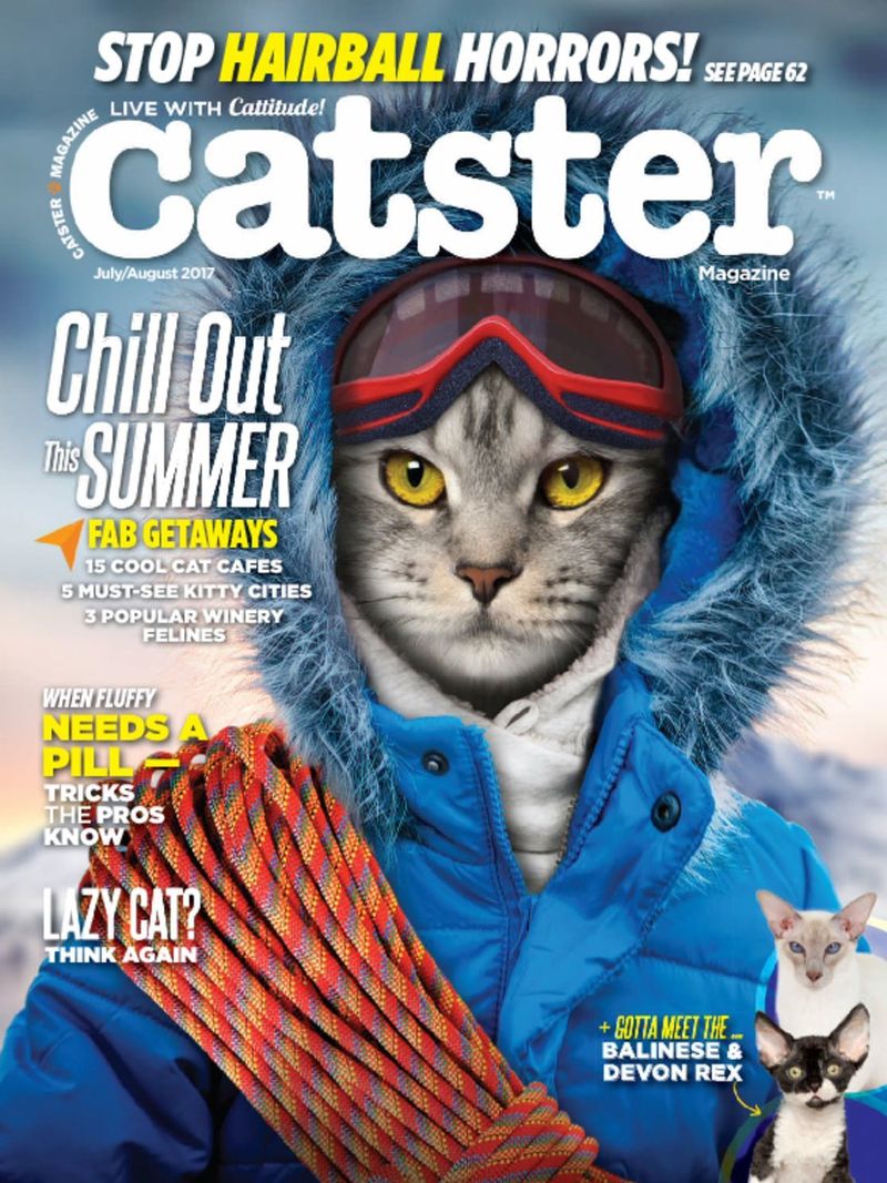Catster June 01, 2017 Issue Cover