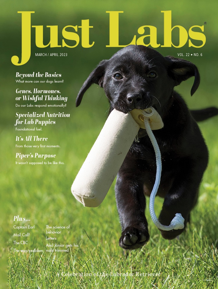 Just-Labs March 01, 2023 Issue Cover