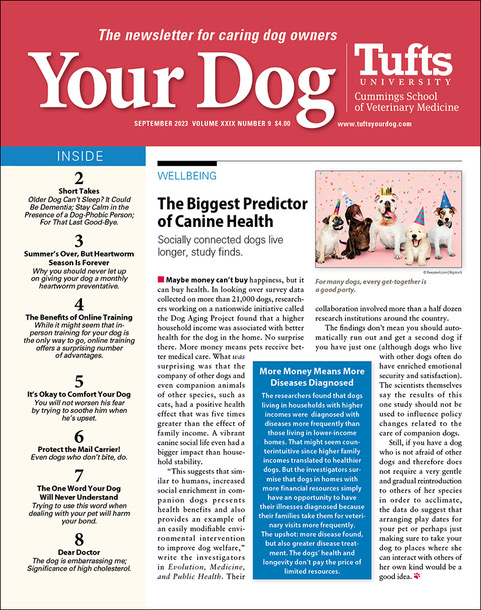 Your-Dog September 01, 2023 Issue Cover