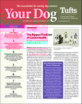 Your-Dog September 01, 2023 Issue Cover