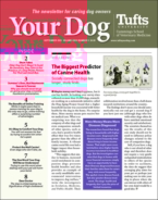 Your-Dog September 01, 2023 Issue Cover