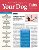 Your Dog September 01, 2023 Issue Cover