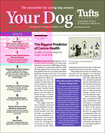 Your Dog September 01, 2023 Issue Cover