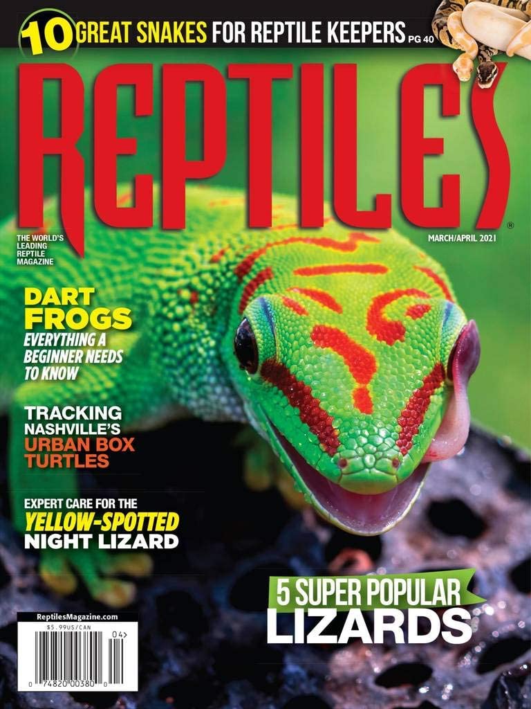 Reptiles March 01, 2021 Issue Cover