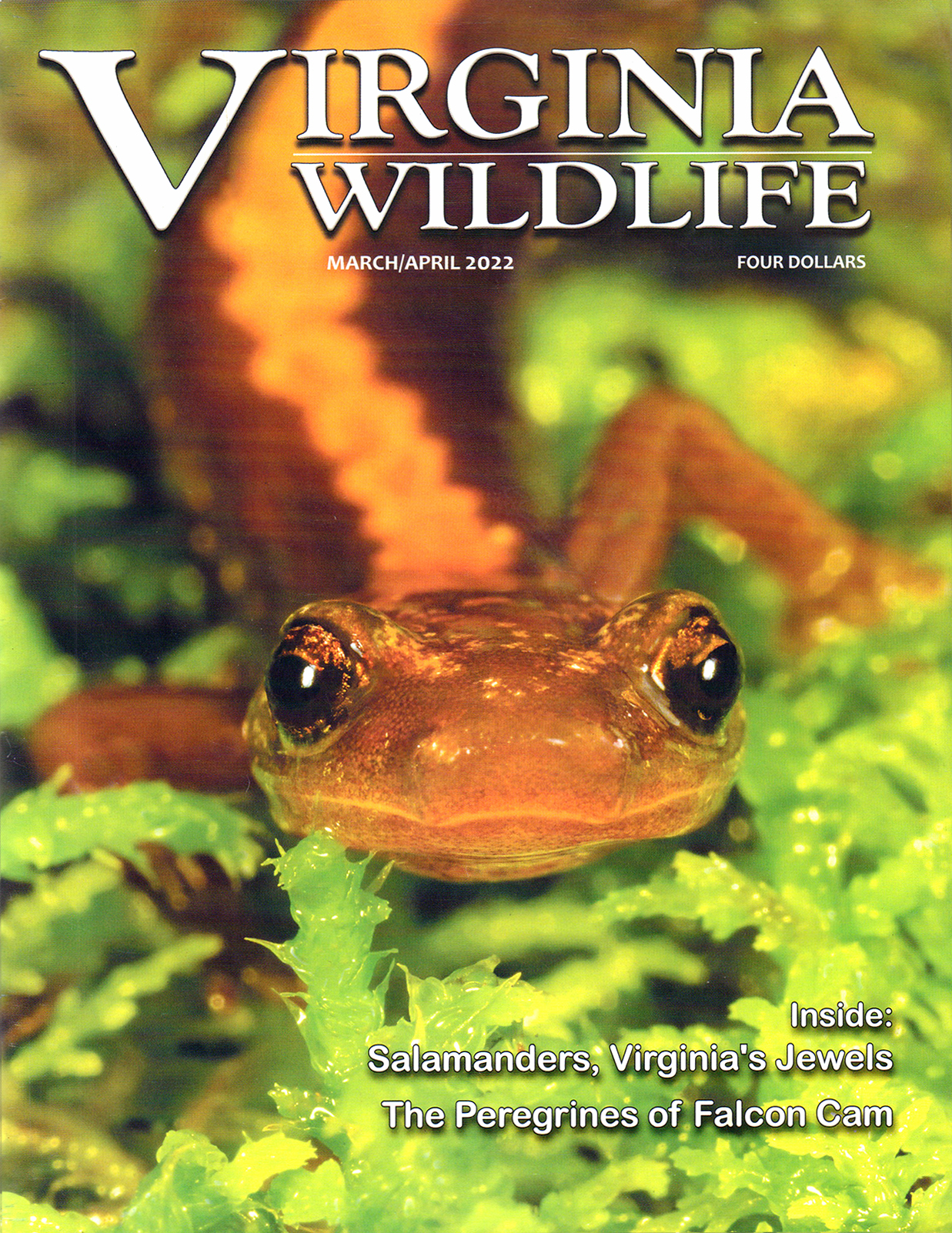 Virginia-Wildlife March 01, 2022 Issue Cover