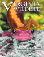 Virginia-Wildlife March 01, 2022 Issue Cover