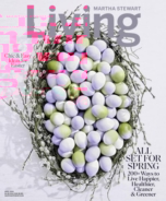 Martha-Stewart-Living April 01, 2018 Issue Cover