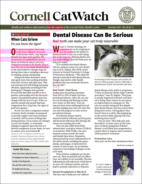 Catwatch November 01, 2024 Issue Cover