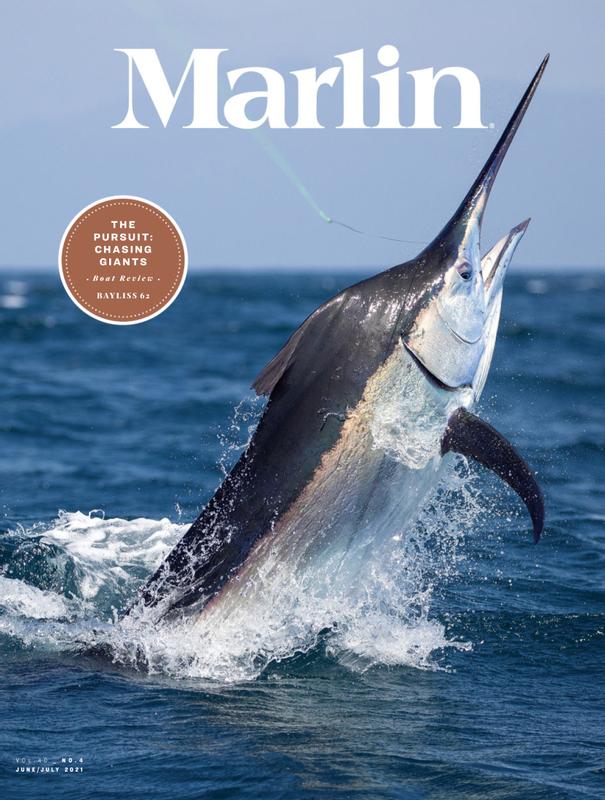Marlin June 01, 2021 Issue Cover