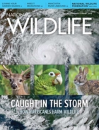 National-Wildlife August 01, 2018 Issue Cover