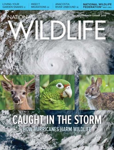 National Wildlife August 01, 2018 Issue Cover
