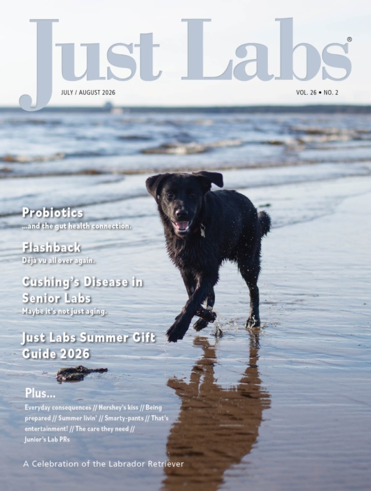 Just Labs July 01, 2026 Issue Cover