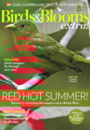 Birds-and-Blooms-Extra July 01, 2019 Issue Cover