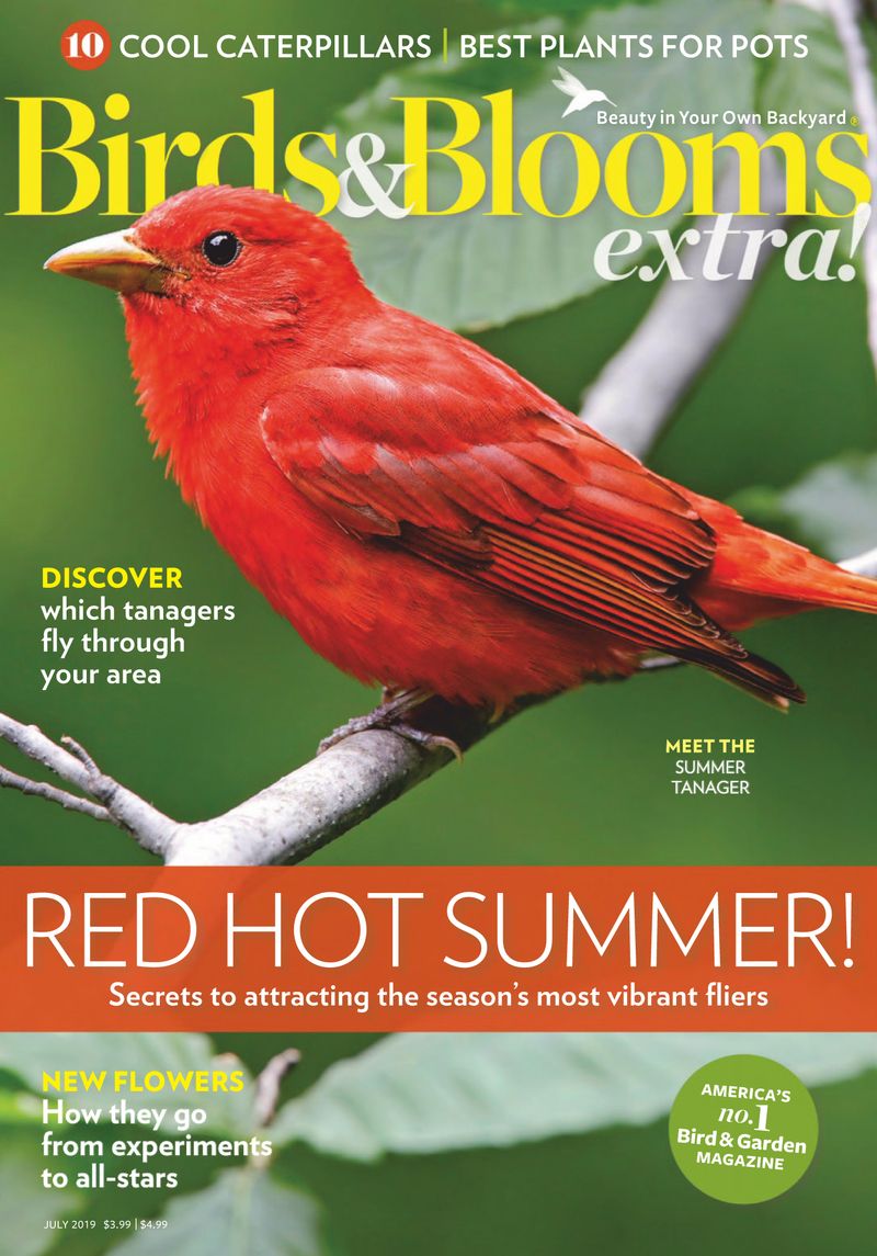 Birds-and-Blooms-Extra July 01, 2019 Issue Cover