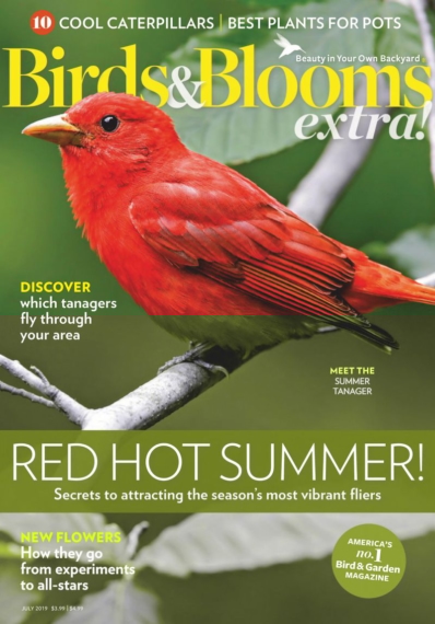 Birds & Blooms Extra July 01, 2019 Issue Cover