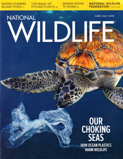 National Wildlife June 01, 2019 Issue Cover