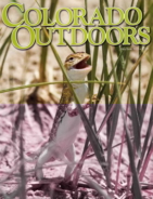 Colorado-Outdoors May 01, 2015 Issue Cover