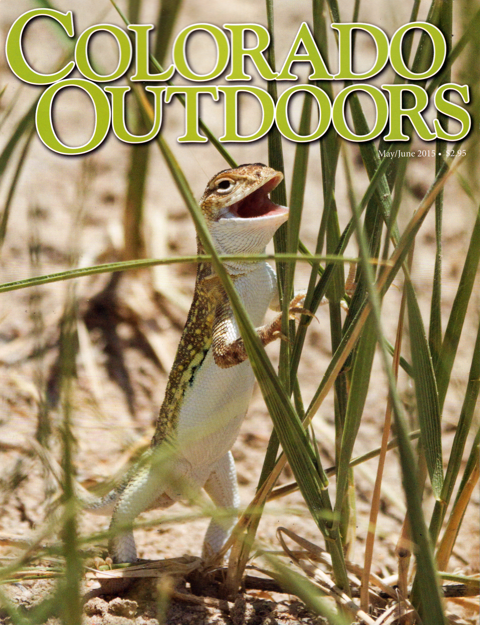 Colorado-Outdoors May 01, 2015 Issue Cover
