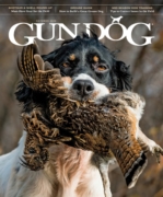 Gun Dog October 01, 2026 Issue Cover