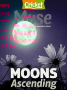 Muse March 01, 2024 Issue Cover