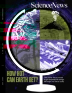 Science-News August 01, 2025 Issue Cover