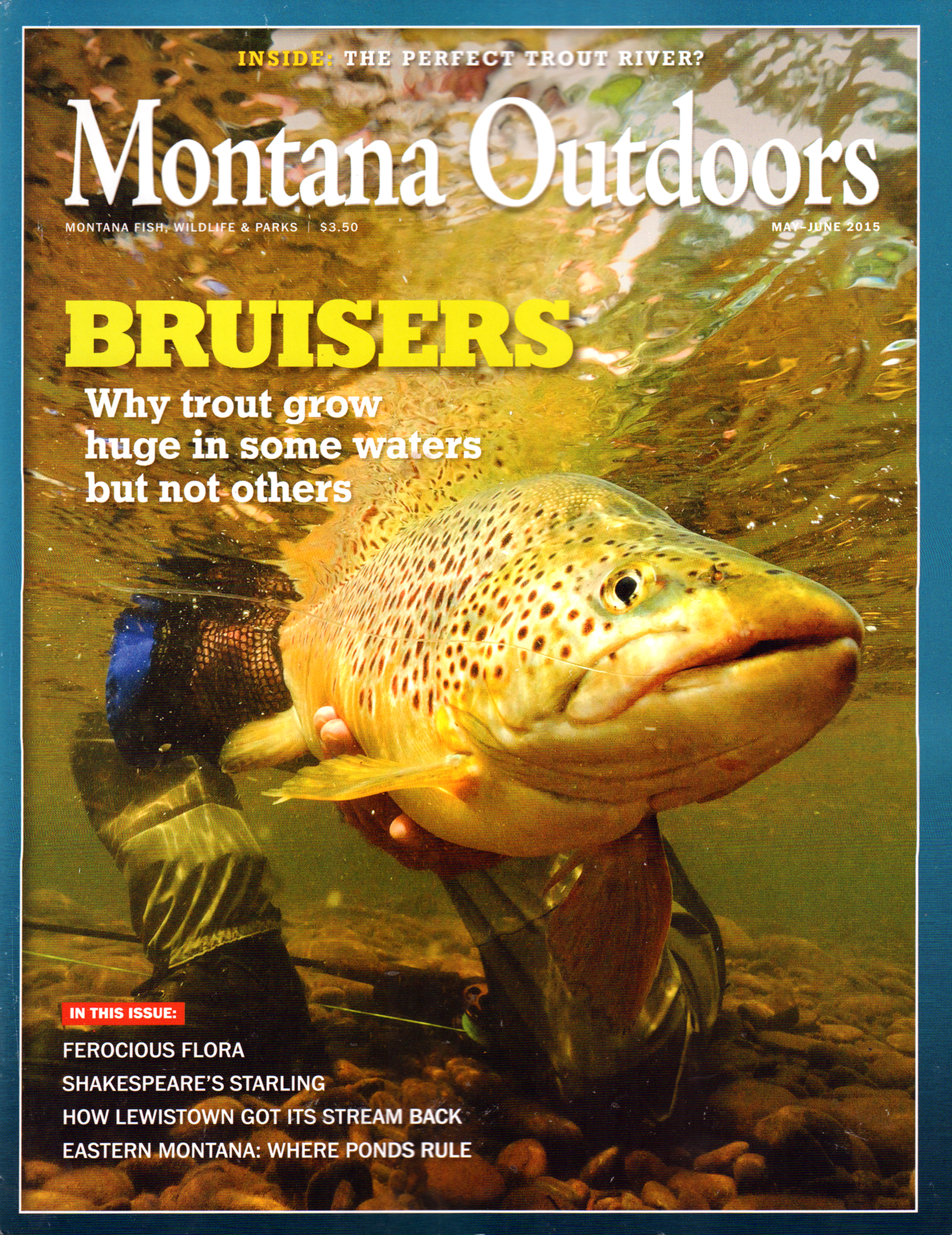 Montana-Outdoors May 01, 2015 Issue Cover