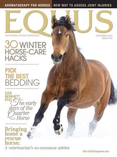 Equus December 01, 2018 Issue Cover