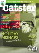Catster November 01, 2017 Issue Cover
