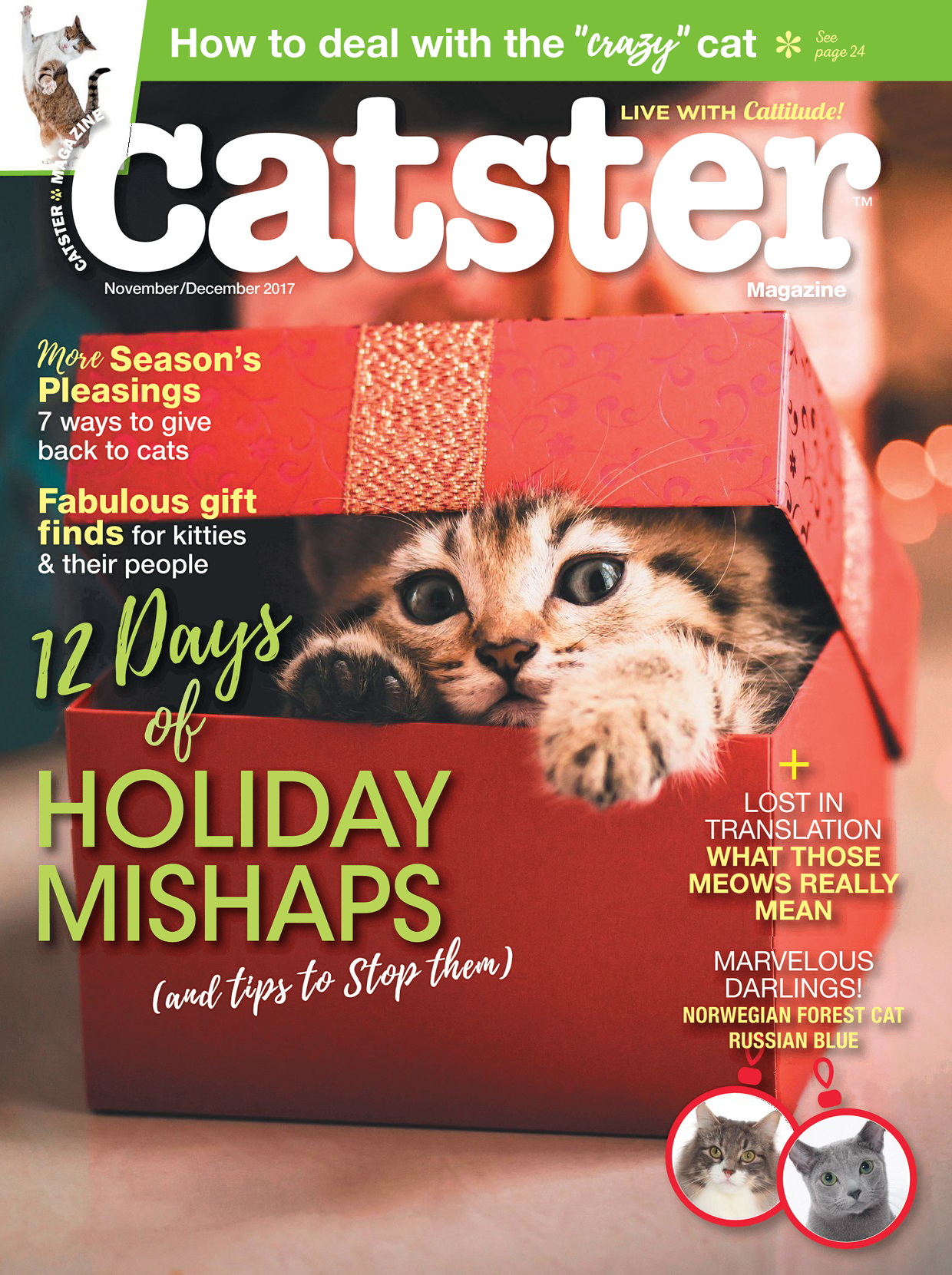 Catster November 01, 2017 Issue Cover