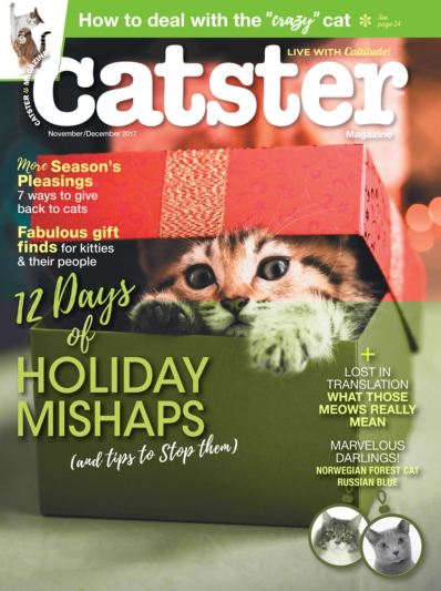 Catster November 01, 2017 Issue Cover