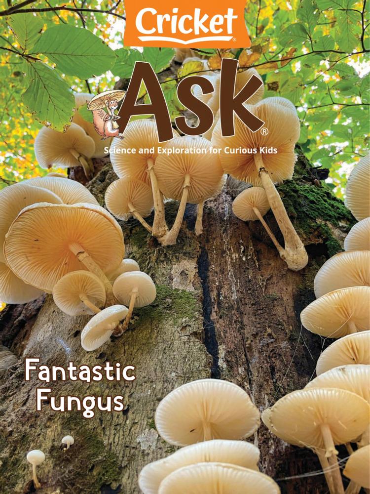 ask May 01, 2022 Issue Cover