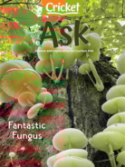 ask May 01, 2022 Issue Cover
