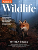 National Wildlife September 01, 2024 Issue Cover