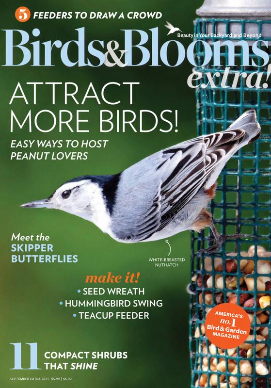 Birds-and-Blooms-Extra September 01, 2021 Issue Cover