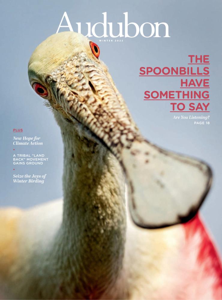 Audubon December 01, 2022 Issue Cover