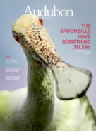 Audubon December 01, 2022 Issue Cover