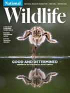 National-Wildlife December 01, 2025 Issue Cover