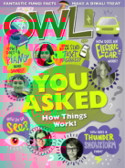 OWL November 01, 2023 Issue Cover