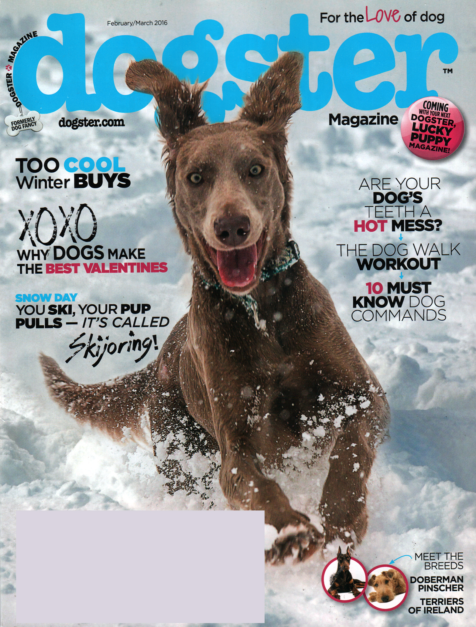 Dogster February 01, 2016 Issue Cover