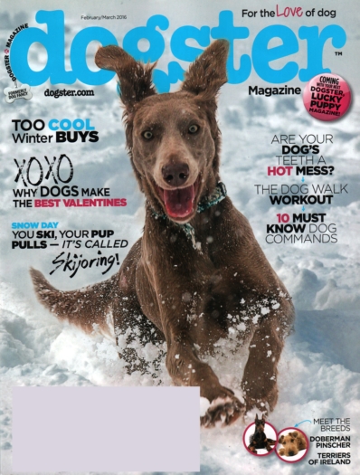 Dogster February 01, 2016 Issue Cover