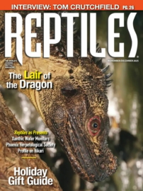 Reptiles November 01, 2025 Issue Cover