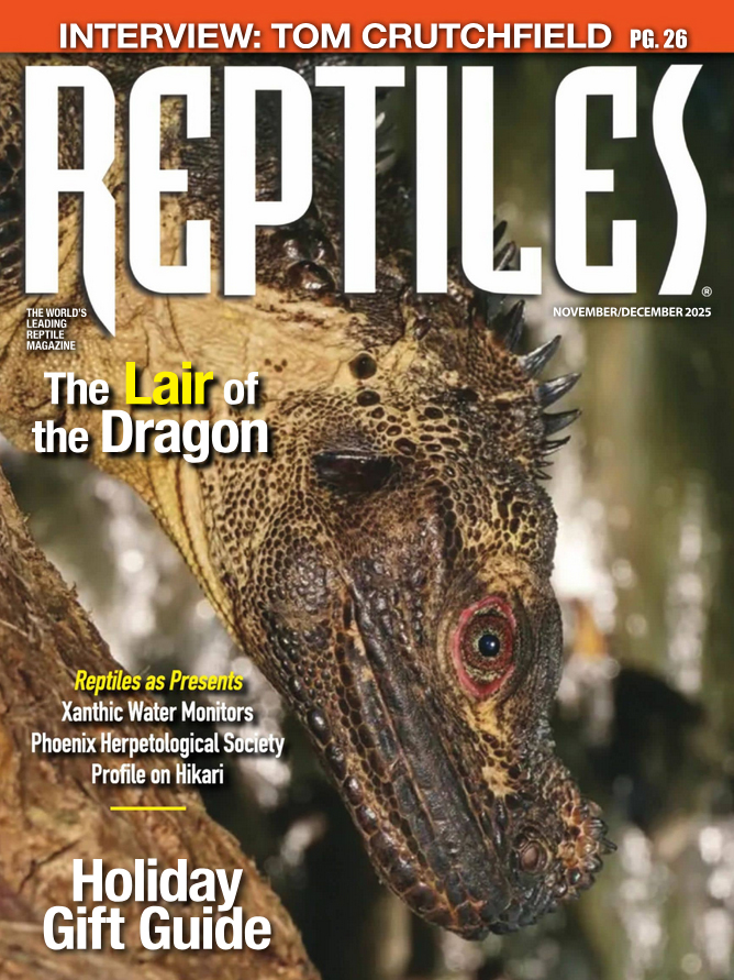 reptiles November 01, 2025 Issue Cover