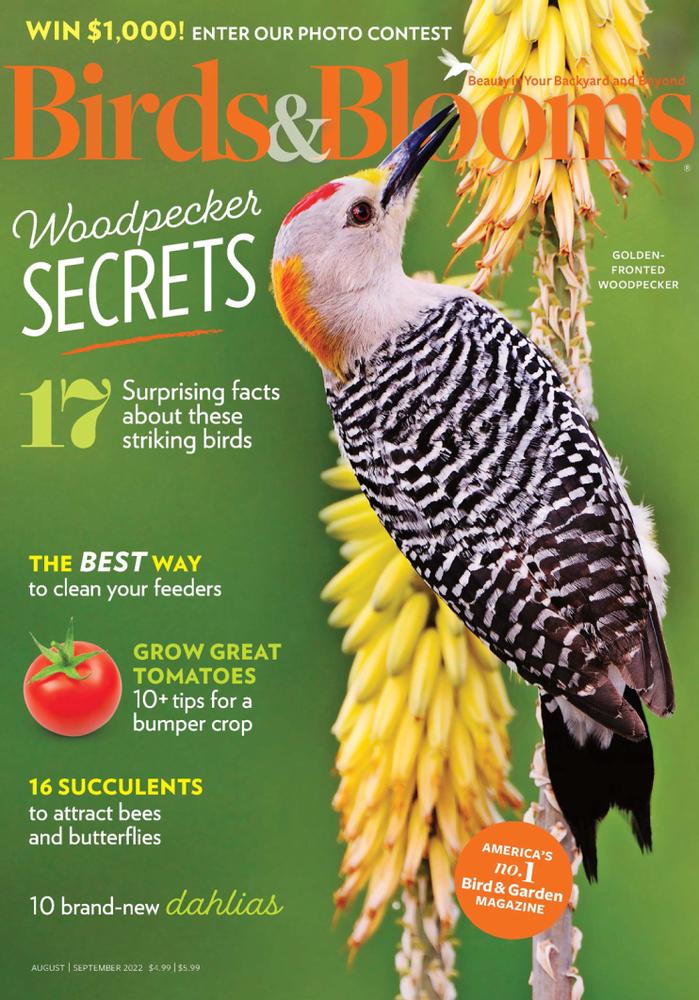 Birds-and-Blooms August 01, 2022 Issue Cover